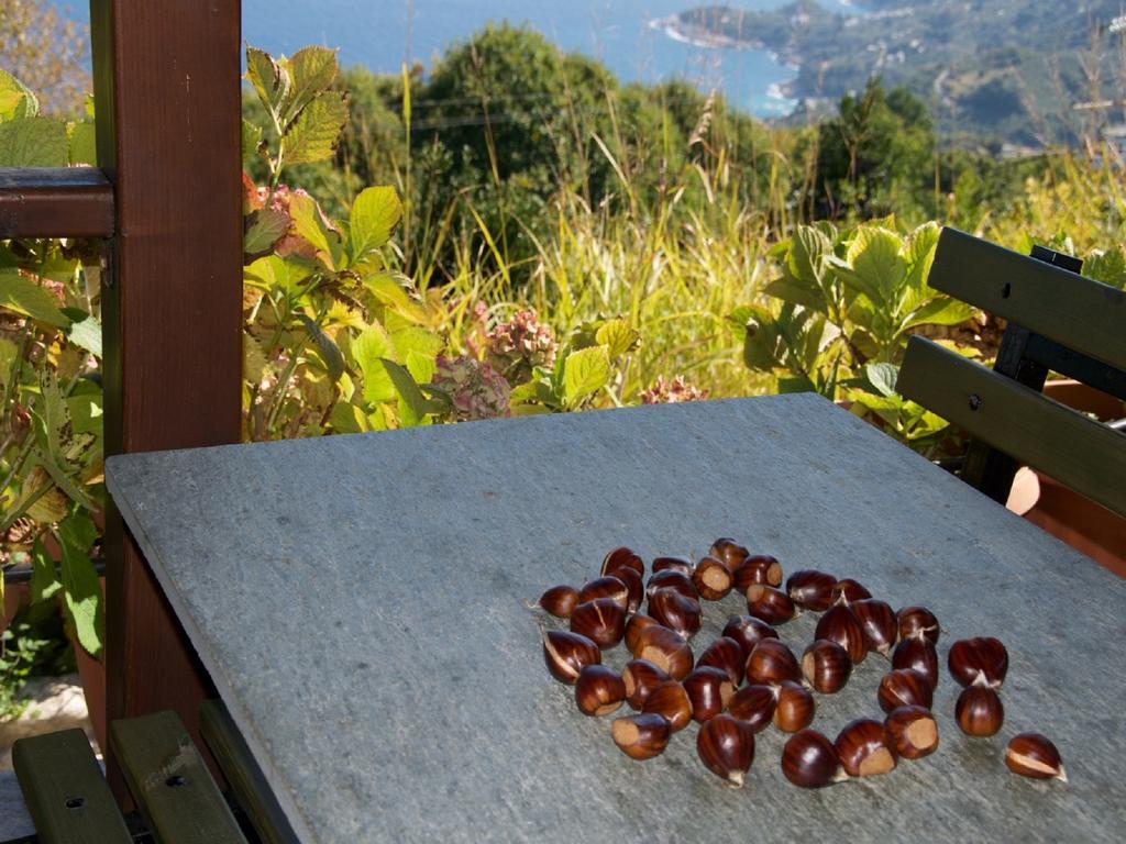 Villa Aglaini Áyios Dhimítrios Buitenkant foto