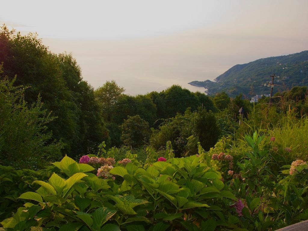 Villa Aglaini Áyios Dhimítrios Buitenkant foto